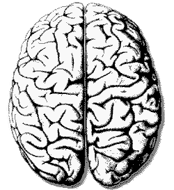 14 ottobre, MILANO, Convegno scientifico “Neuro-mania. Il cervello non spiega chi siamo”